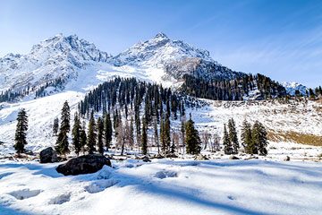 Jammu Srinagar Sonmarg Pahalgam Gulmarg